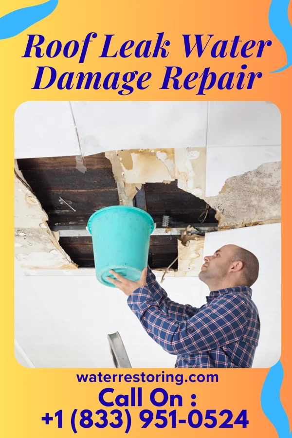 Roof Leak Water Damage Repair in Marmarth, ND